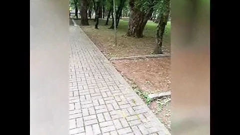 Военная база отдыха Бетта