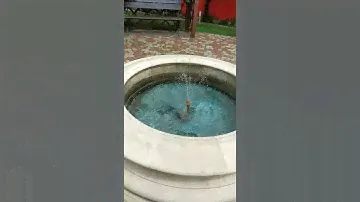 База отдыха,, Бирюза Юг,,  2019 год
