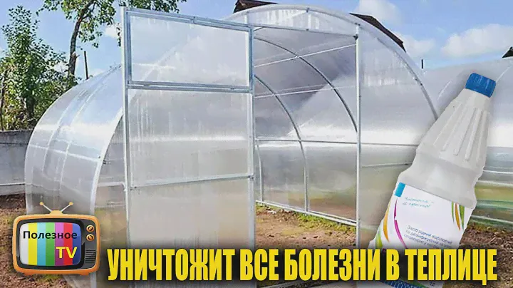 ЭТО ЛУЧШЕЕ СРЕДСТВО ДЛЯ ДЕЗИНФЕКЦИИ ТЕПЛИЦЫ ОСЕНЬЮ ПОСЛЕ ВЫРАЩИВАНИЯ В НЕЙ ОГУРЦОВ, ТОМАТОВ И ПЕРЦЕВ