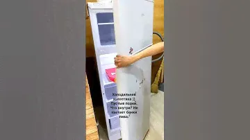 Что находится внутри? холодильник холостяка. Бирюза 135 цена/качество #imperatorkim #императорким