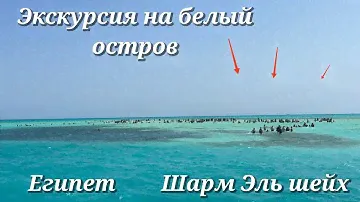 ✅Экскурсия на белый остров в Египте 🌊в Шарм Эль Шэйх